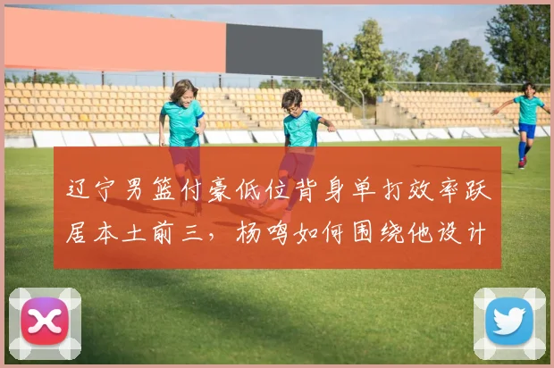 辽宁男篮付豪低位背身单打效率跃居本土前三，杨鸣如何围绕他设计新战术？